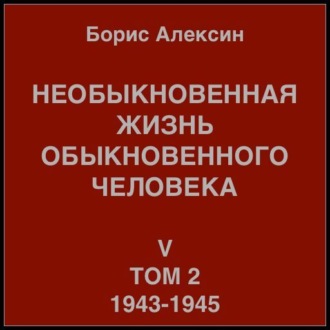 Необыкновенная жизнь обыкновенного человека. Книга 5. Том 2