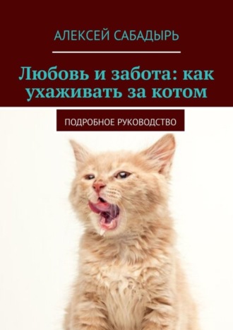 Любовь и забота: как ухаживать за котом. Подробное руководство