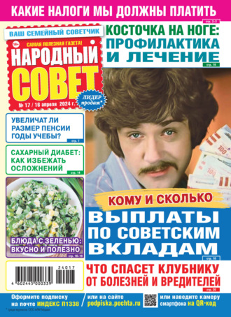 Народный совет №17/2024