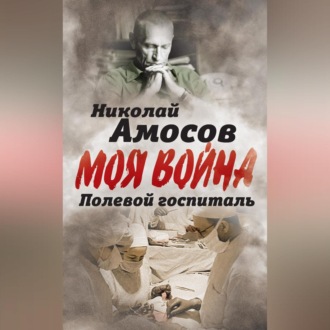 Полевой госпиталь. Записки военного хирурга