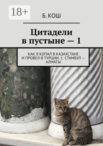 Цитадели в пустыне – 1. Как я копал в Казахстане и провел в Турции. 1. Стамбул – Алматы