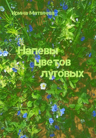 Напевы цветов луговых