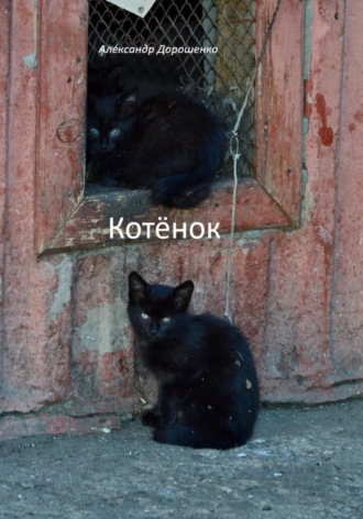 Котёнок