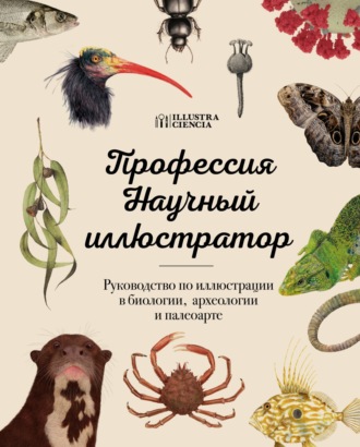 Профессия – Научный иллюстратор. Руководство по иллюстрации в биологии, археологии и палеоарте