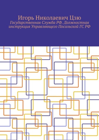 Государственная Служба РФ. Должностная инструкция Управляющего Посольской ГС РФ