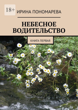 Небесное водительство. Книга первая