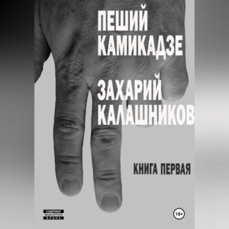 Пеший камикадзе. Книга первая