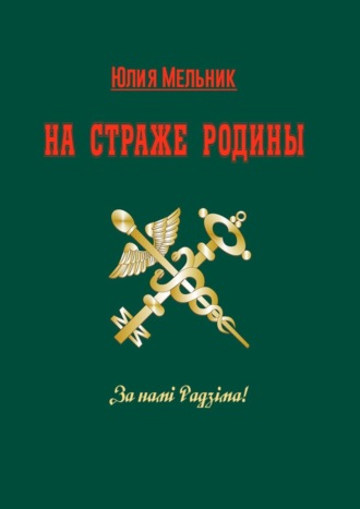 На страже Родины. Интервью-эссе
