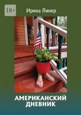 Американский дневник