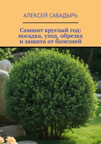 Самшит круглый год: посадка, уход, обрезка и защита от болезней