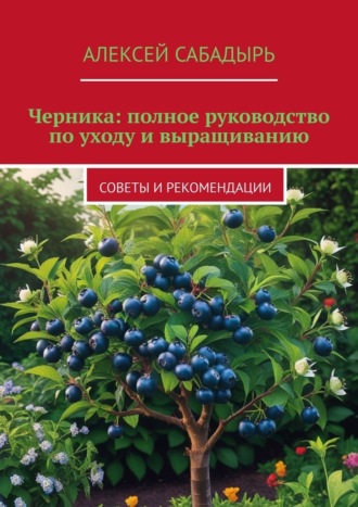 Черника: полное руководство по уходу и выращиванию. Советы и рекомендации