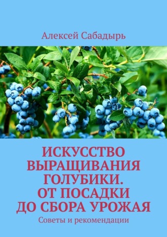 Искусство выращивания голубики. От посадки до сбора урожая. Советы и рекомендации