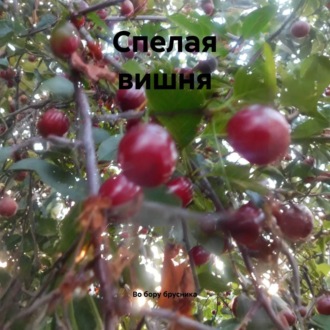 Спелая вишня