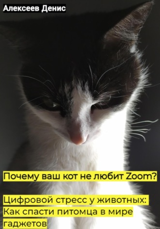 Почему ваш кот не любит Zoom? Цифровой стресс у животных: Как спасти питомца в мире гаджетов