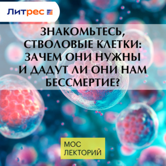 Знакомьтесь, стволовые клетки: зачем они нужны и дадут ли они нам бессмертие?