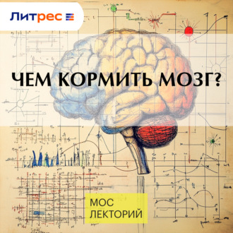 Чем кормить мозг?