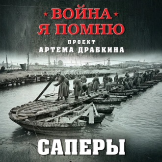 Саперы