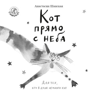 Кот прямо с неба