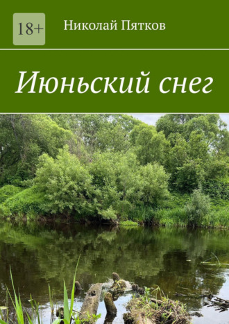 Июньский снег. Рассказы