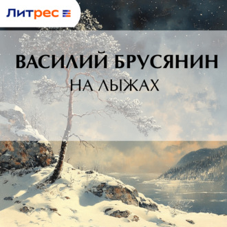 На лыжах