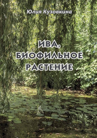 Ива, биофильное растение