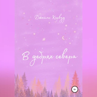 В дебрях севера