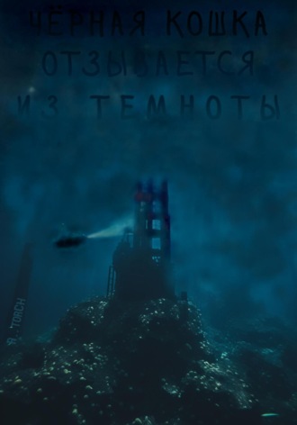 Чёрная кошка отзывается из темноты
