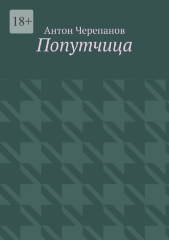 Попутчица