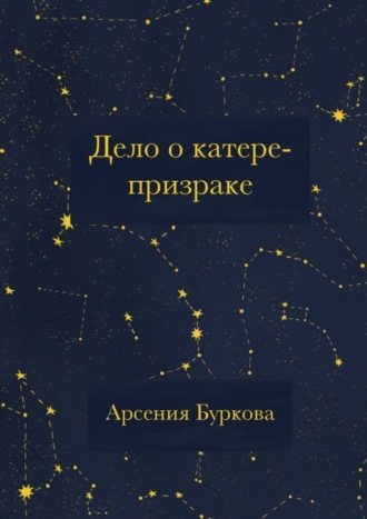 Дело о катере-призраке