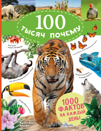 100 тысяч почему на каждый день. Природа