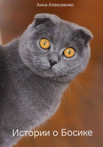 Истории о Босике