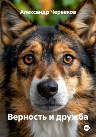 Верность и дружба
