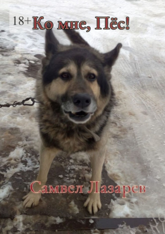 Ко мне, Пёс!