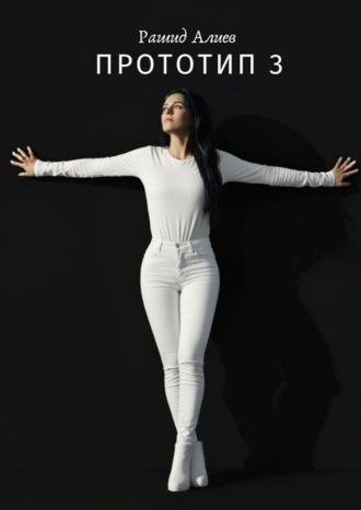 Прототип – 3