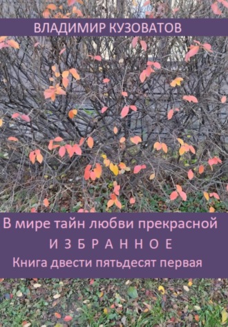 В мире тайн любви прекрасной. Избранное. Книга двести пятьдесят первая