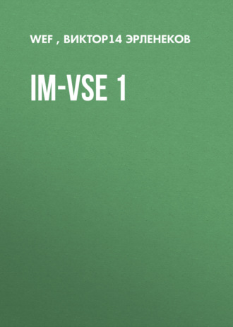 im-vse 1