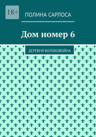 Дом номер 6. Деревня Волоковойна