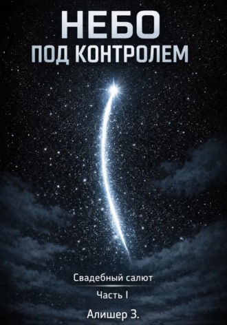 Небо под контролем. Свадебный салют. Часть I