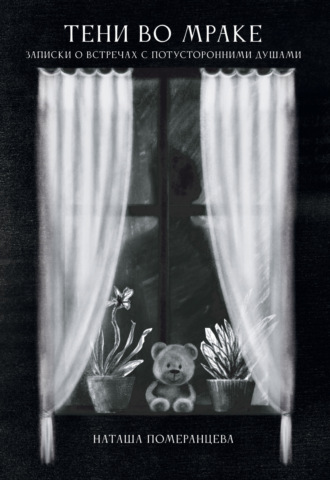Тени во мраке. Записки о встречах с потусторонними душами