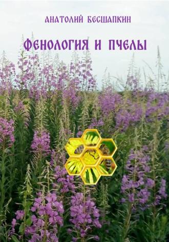 Фенология и пчёлы
