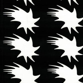 Потерянный и обретённый свет: монологи слепоглухих людей