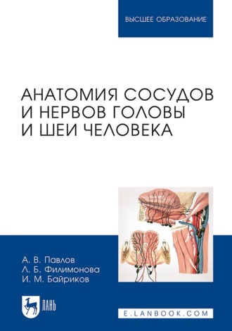 Анатомия сосудов и нервов головы и шеи человека. Учебное пособие для вузов