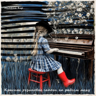 Красные резиновые сапоги на рыбьем меху