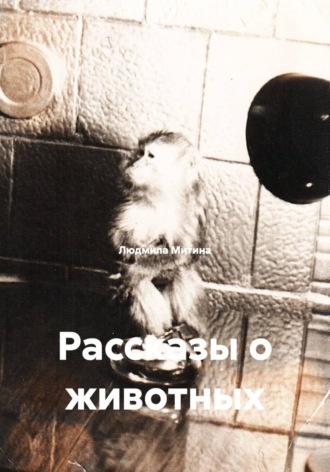 Рассказы о животных