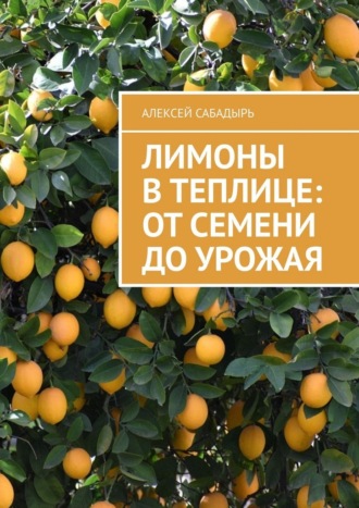 Лимоны в теплице: от семени до урожая