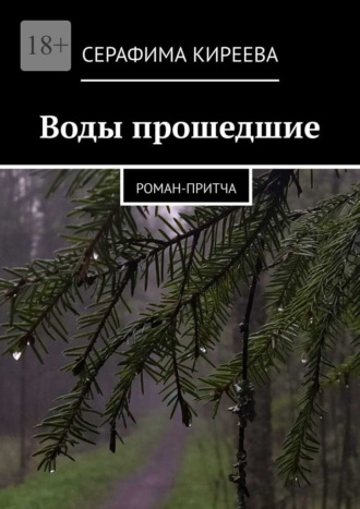 Воды прошедшие. Роман-притча