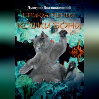 ПРИКЛЮЧЕНИЯ КОШКИ БОНИ