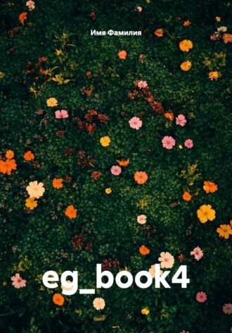 eg_book4