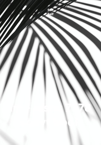 im - jdshc 7778 soavt book