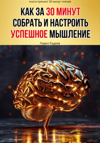 Как за 30 минут собрать и настроить успешное мышление